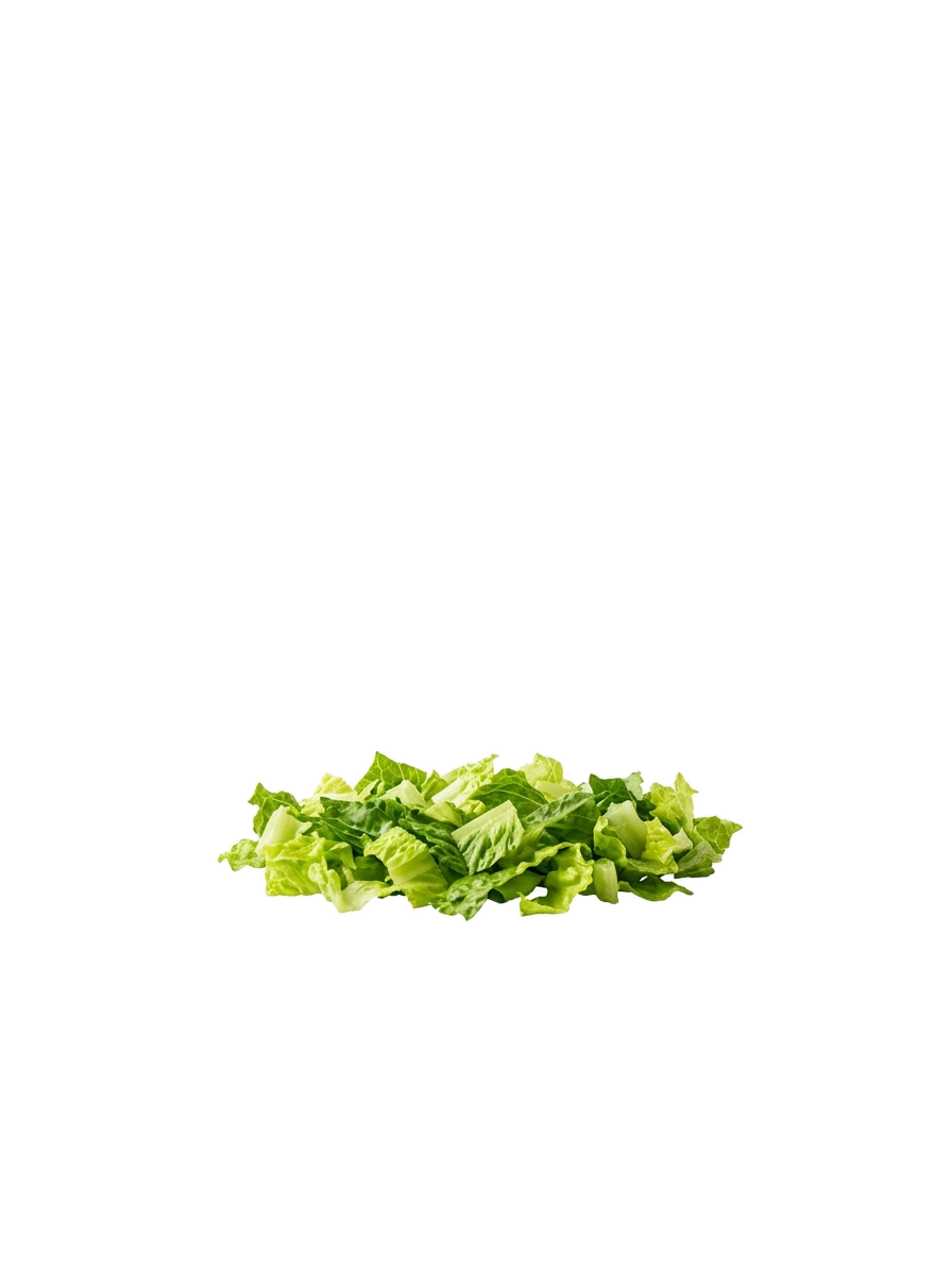 Fresh crisp romaine lettuce leaves